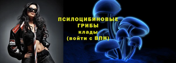 дурь Краснотурьинск