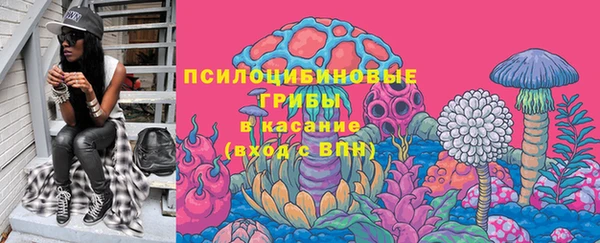 дурь Краснотурьинск