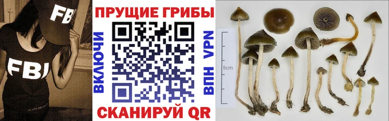 Галлюциногенные грибы мицелий  дарк нет какой сайт  Усолье 